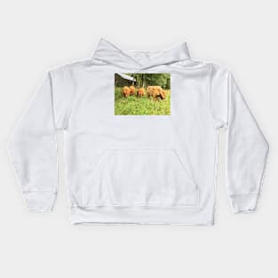 Scottish Highland Cattle Calves 1510 Kids Hoodie